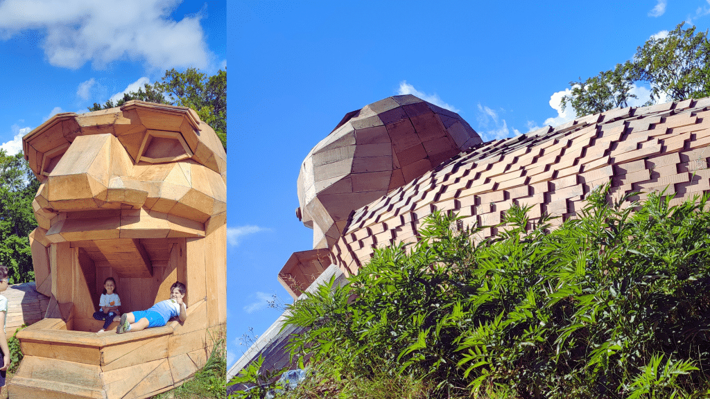 Piatra Neamt pe lista destinatiilor tale din Romania 4