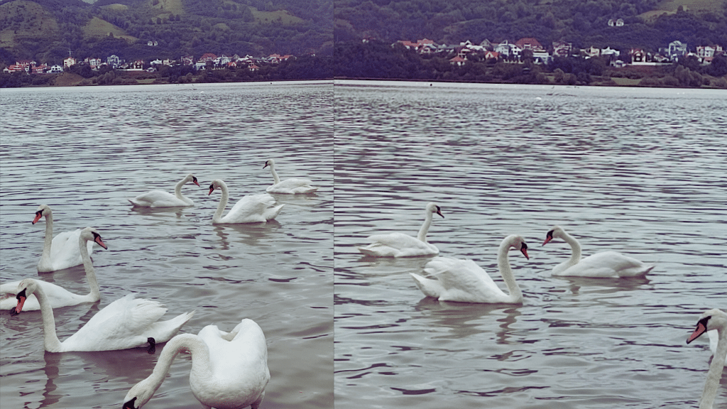 Piatra Neamt pe lista destinatiilor tale din Romania 6